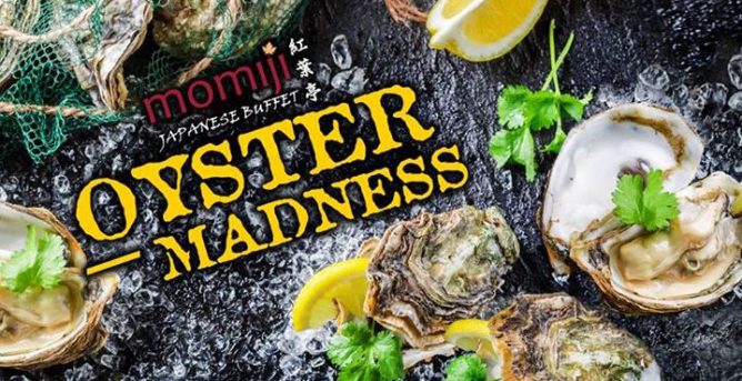 img209f0000027af25cc92def0858181056-1-668x343