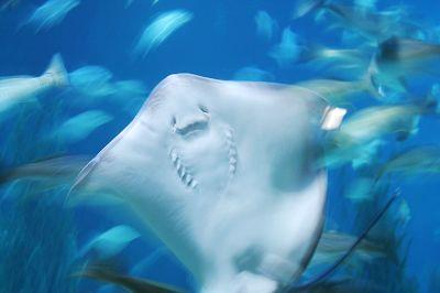 213569_2009031622112136.thumb