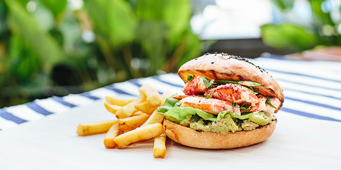 tbc_dining_room_lobster_bun_jpg_1470905572