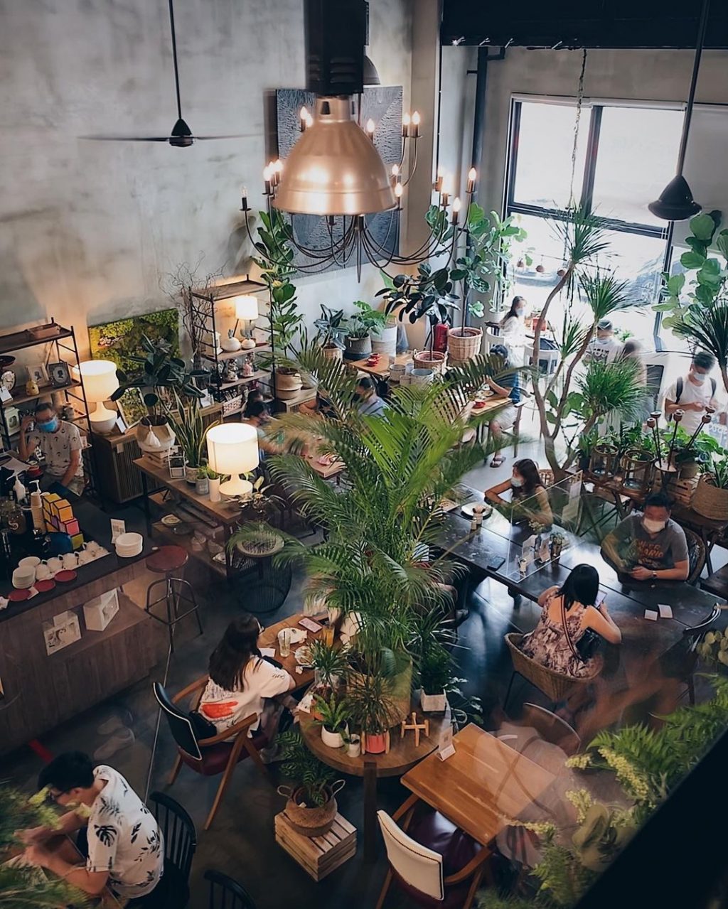 森林花园咖啡馆Knots Cafe & Living🌿被绿植盆栽围绕、置身世外桃源，感受片刻恬静 - 🇸🇬新加坡省钱皇后-皇后情报局